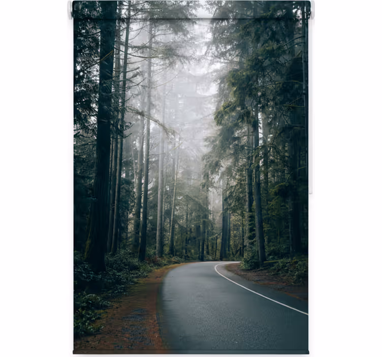 Tree roller blind foggy pine road - TenStickers