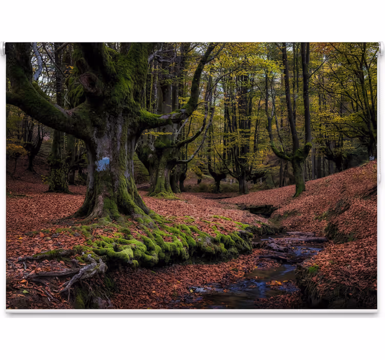 Tree roller blind enchanted autumn forest - TenStickers