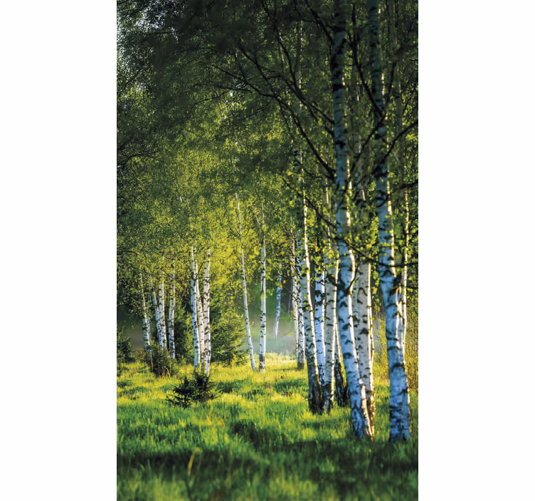 Tree roller blind birch grove modern - TenStickers