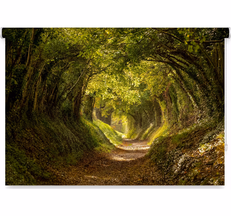 Tree roller blind immersive forest mural - TenStickers