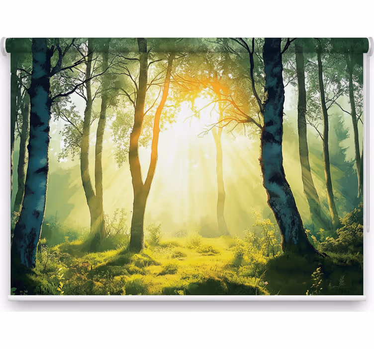 Tree roller blind sun-drenched birch mural - TenStickers