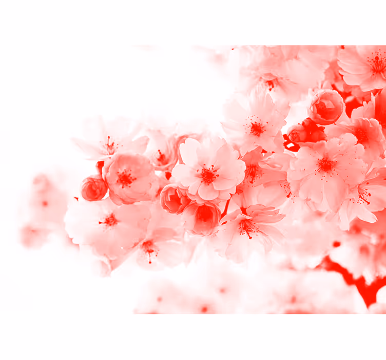 Red bush kitchen roller blind - TenStickers