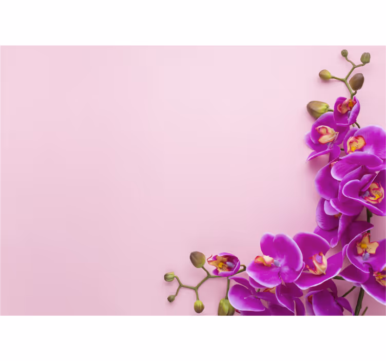 Kitchen roller blind in pink with orchid design - TenStickers