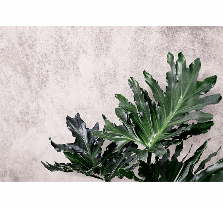 Kitchen roller blind with green leaves on concrete - TenStickers
