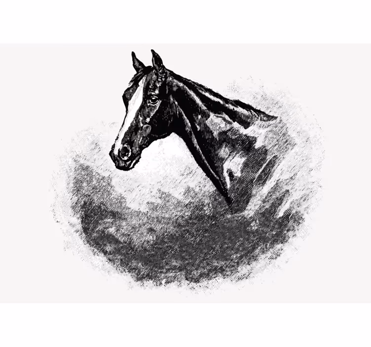 White roller blind with graphite horses design - TenStickers
