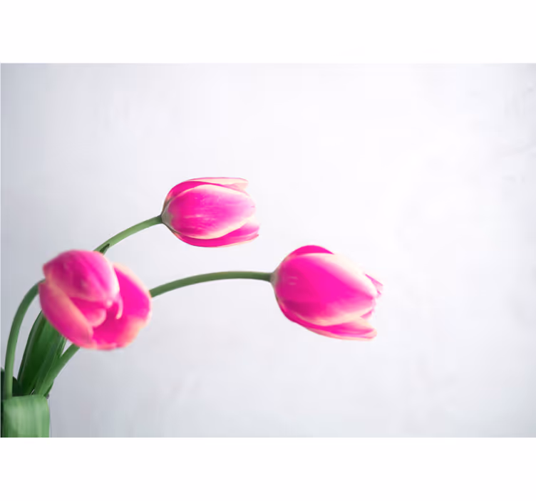 White roller blind with three tulips design - TenStickers