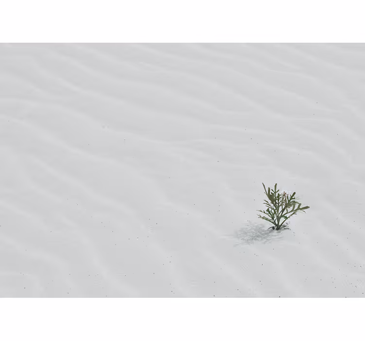 White roller blind in white desert sand color - TenStickers