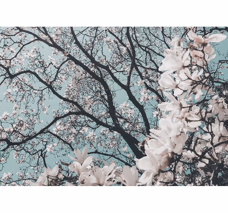 Living room roller blind elegant style cherry blossom - TenStickers