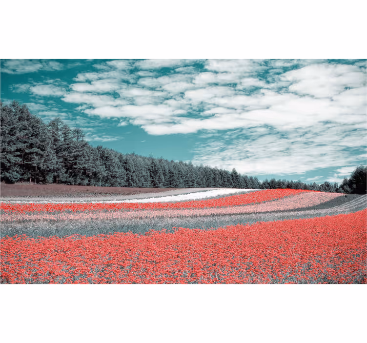 Living room roller blind flower field design - TenStickers