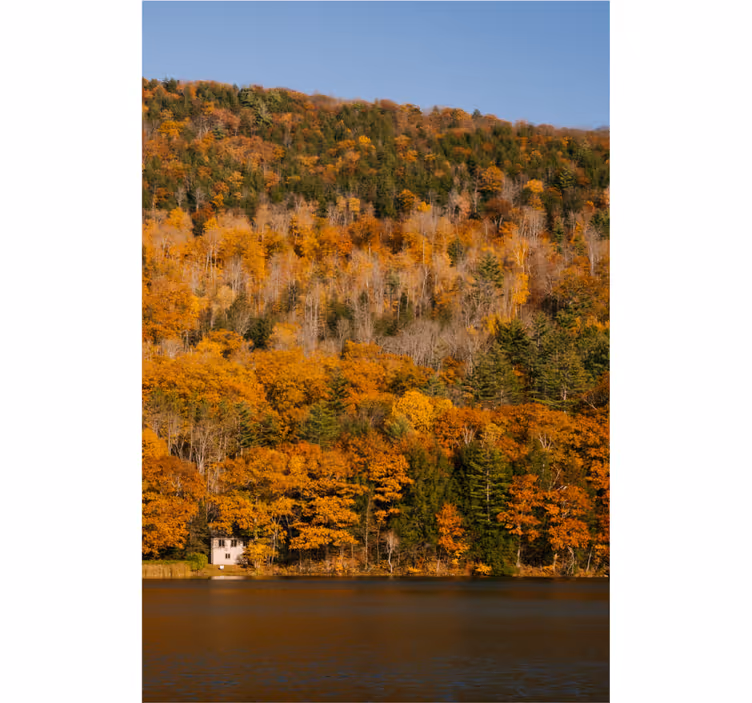 Living room roller blind lake and golden trees - TenStickers