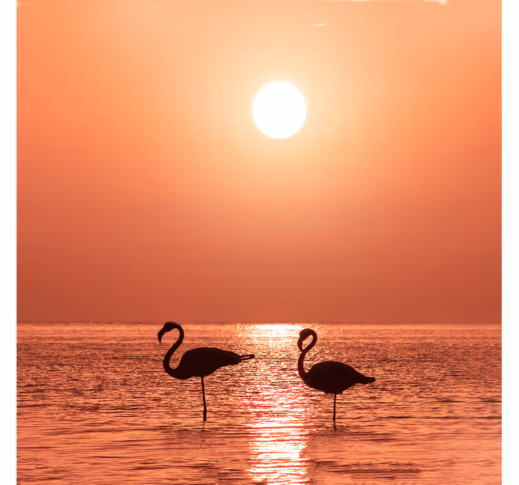 Living room roller blind with lovely flamingo sunset - TenStickers