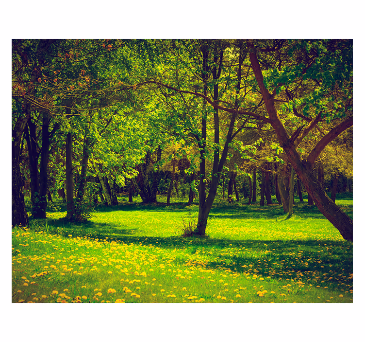 Green roller blind with tranquil forest scene - TenStickers