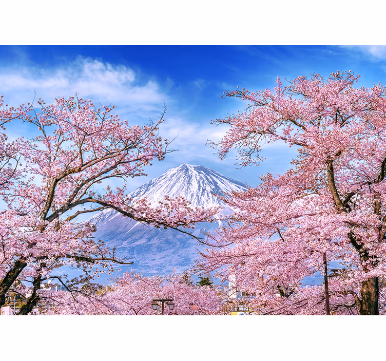 Living room roller blind mountain cherry blossom - TenStickers
