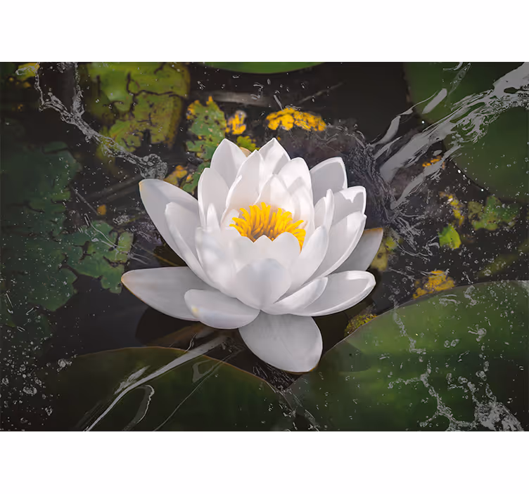 Living room roller blind white and yellow lotus - TenStickers