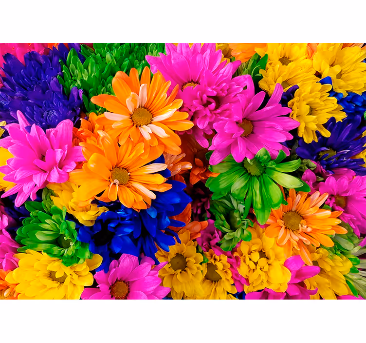 Living room roller blind in colorful chrysanthemum - TenStickers