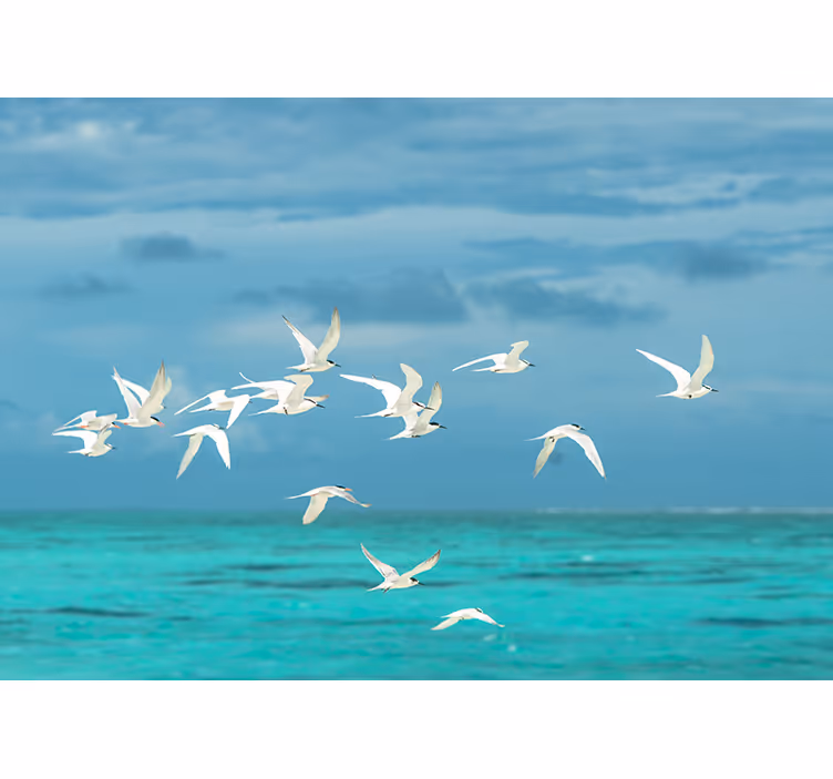 Living room roller blind birds in flight - TenStickers