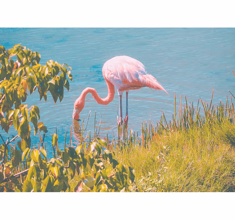 Living room roller blind with a beautiful flamingo - TenStickers