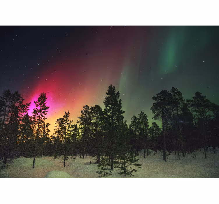 Living room roller blind northern lights over trees - TenStickers