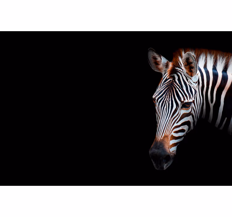 Living room roller blind zebra print design - TenStickers