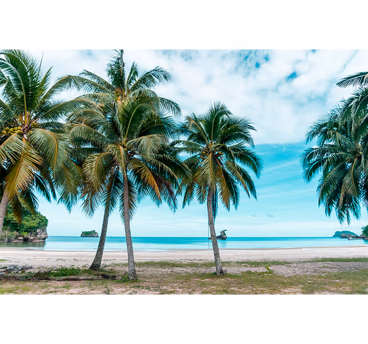 Living room roller blind sea beach palm sand - TenStickers