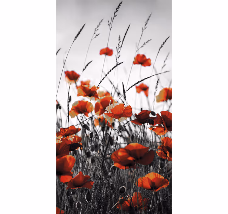 Living room roller blind poppy flowers red black - TenStickers