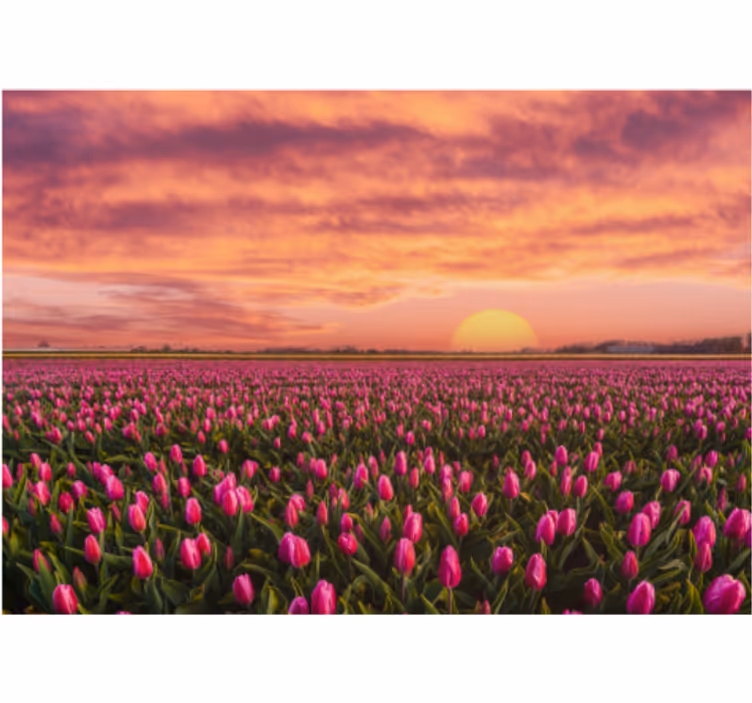 Living room roller blind sunrise and tulips - TenStickers