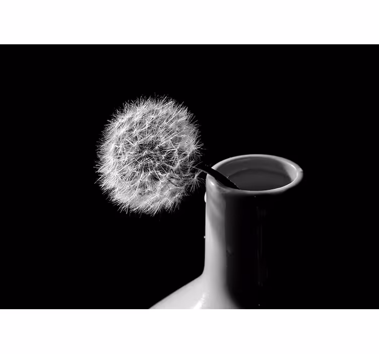 Living room roller blind dandelion in pot - TenStickers