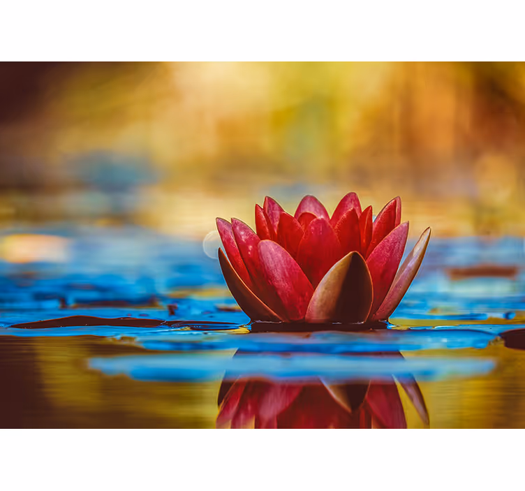 Living room roller blind zen reflected lotus flower - TenStickers