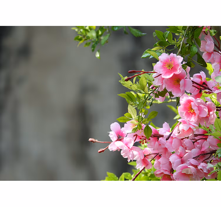 Living room roller blind pink flowers 3d - TenStickers