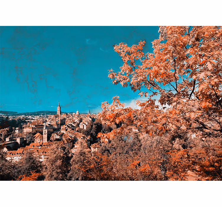 Living room roller blind autumn trees in bern - TenStickers