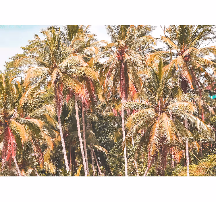 Living room roller blind green palm in the jungle - TenStickers