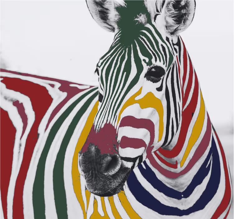 Living room roller blind colorful zebra artwork - TenStickers