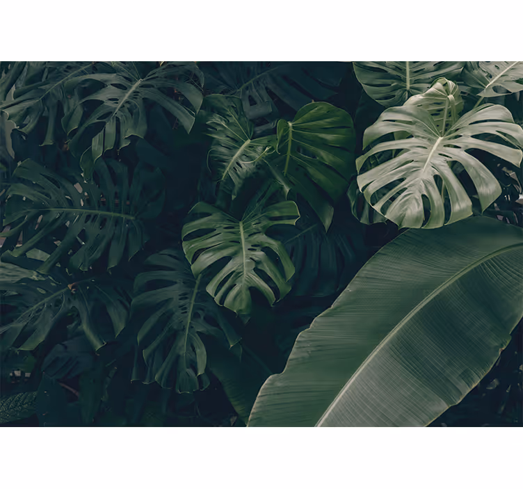 Living room roller blind in beautiful green jungle - TenStickers