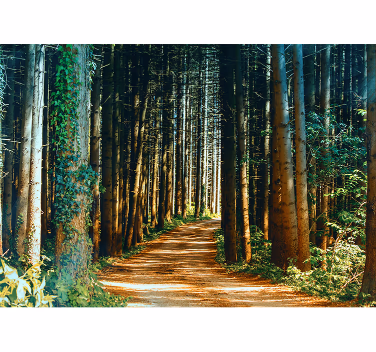 Living room roller blind nature path tree gate - TenStickers