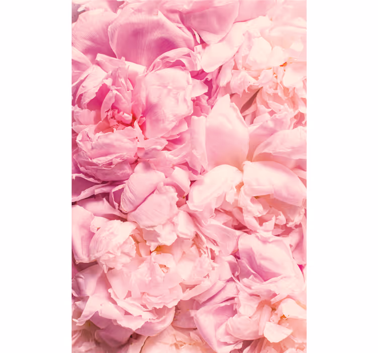 Bedroom roller blind peony realistic pink flowers - TenStickers