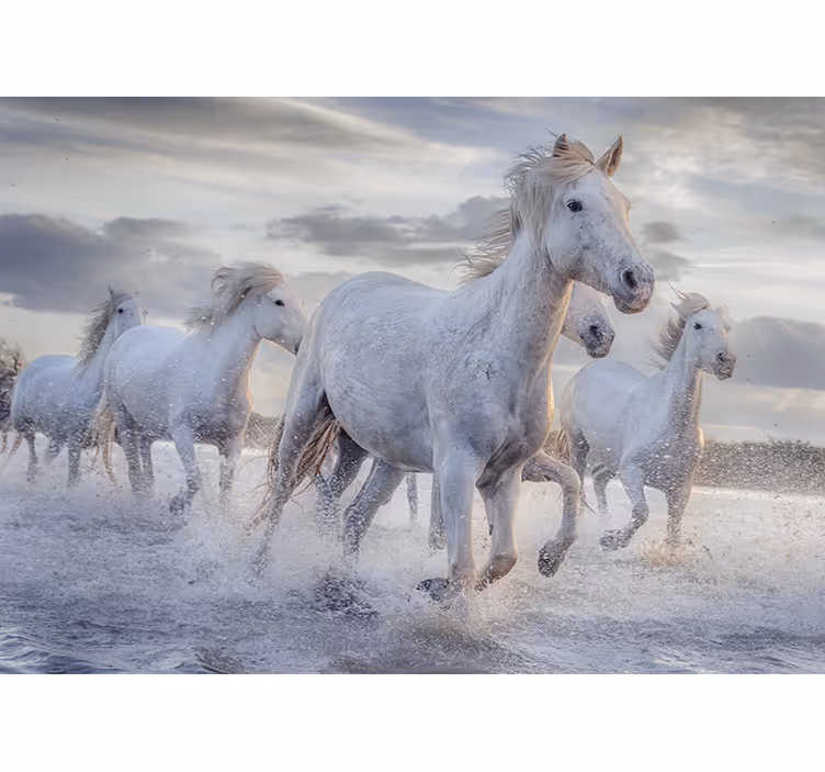 White roller blind watering horses mural - TenStickers