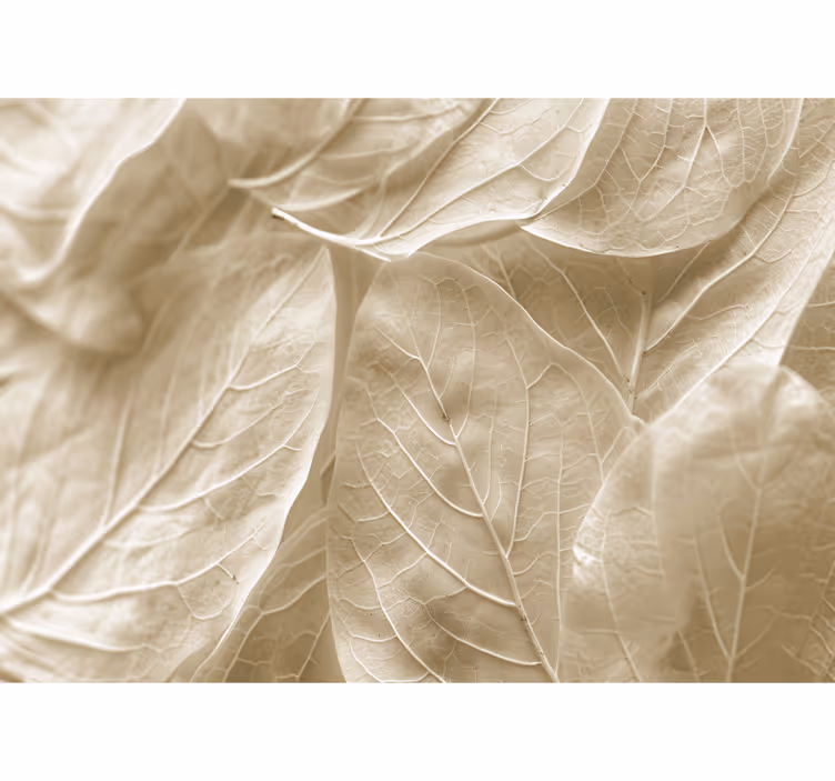 Bedroom roller blind with large beige leaves - TenStickers