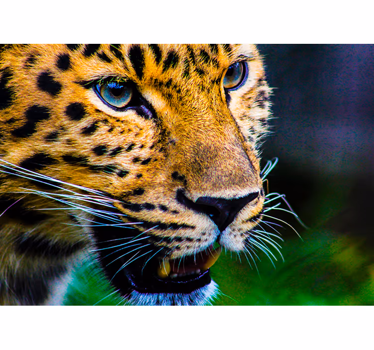 Bedroom roller blind leopard face - TenStickers