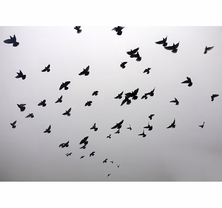 Gray roller blind with a serene bird design - TenStickers