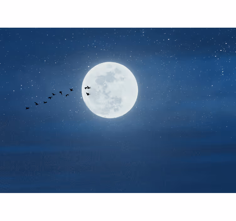 Living room roller blind full moon and sky - TenStickers
