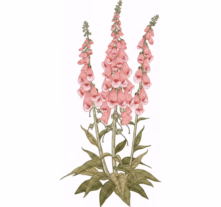 Living room roller blind pink flowers - TenStickers