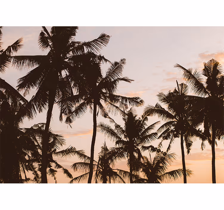 Bedroom roller blind sunset palm tree design - TenStickers