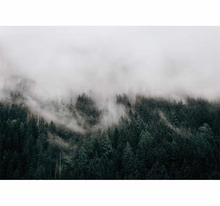 Bedroom roller blind in forest misty clouds - TenStickers