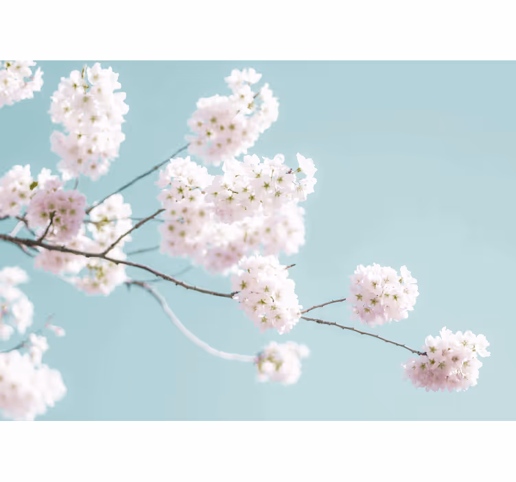 White roller blind with elegant feminine flower design - TenStickers