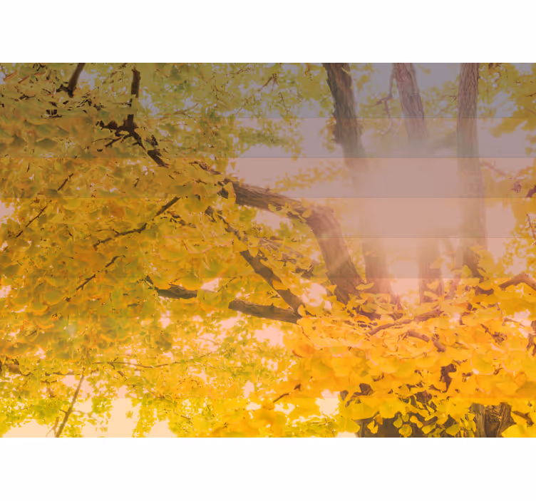 Sparkling autumnal scene children room roller blind - TenStickers