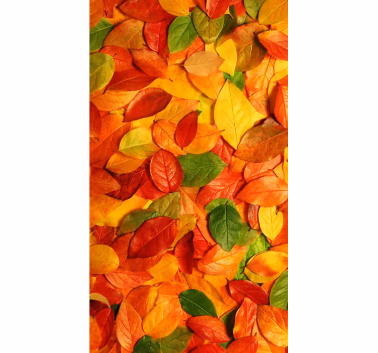 Kitchen roller blind autumn leaf floor vinyl - TenStickers