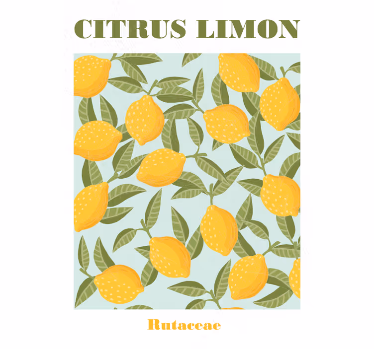 Kitchen roller blind lemon fruit design - TenStickers