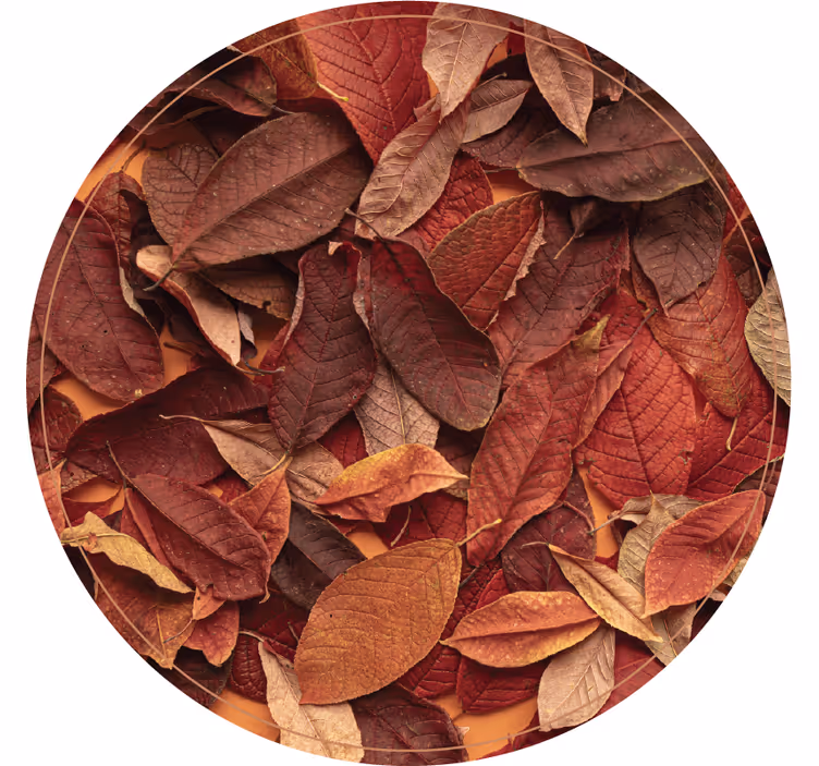 Bedroom roller blind in autumnal dark shade - TenStickers