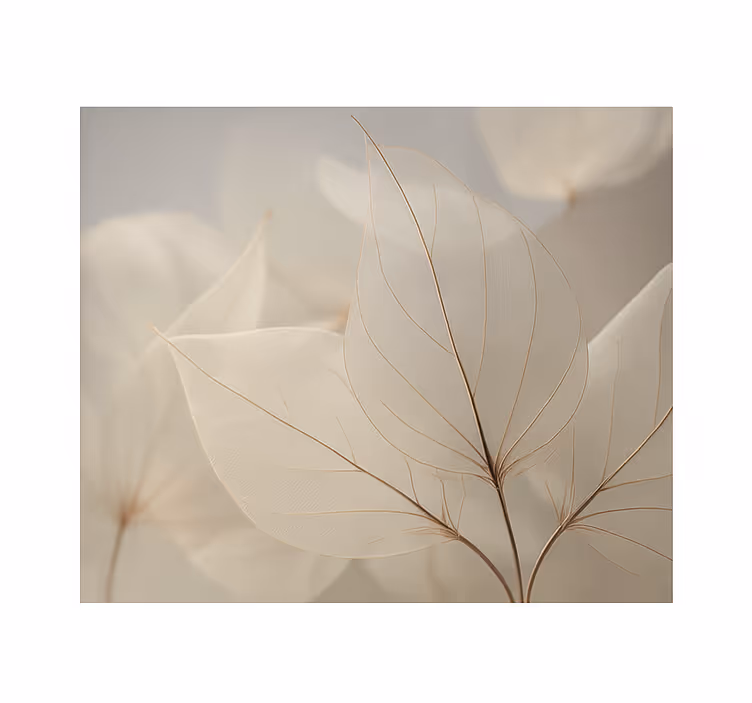 Living room roller blind with white skeleton leaves - TenStickers