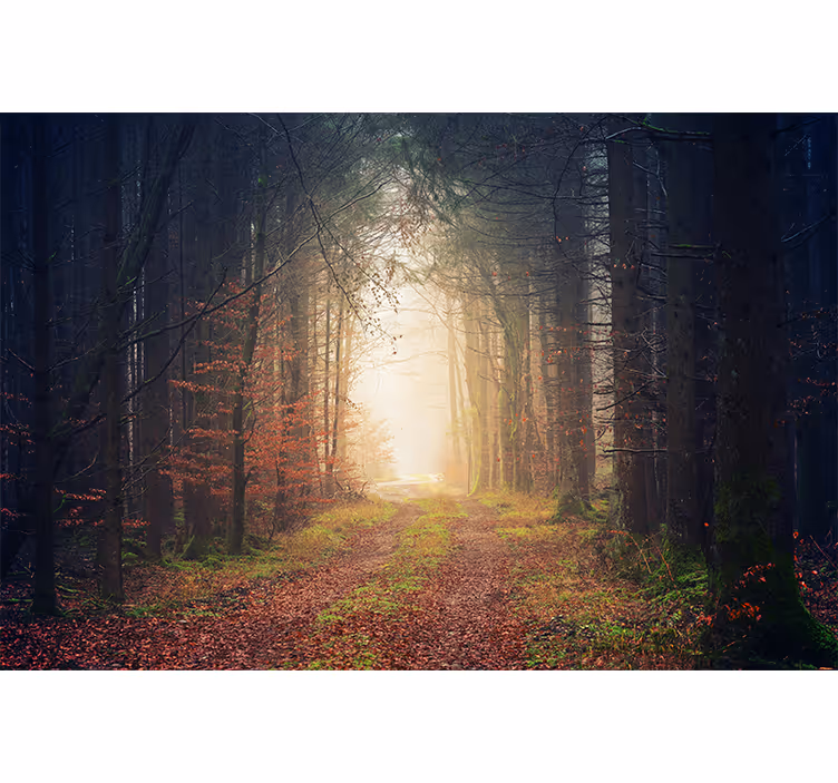 Living room roller blind autumn path - TenStickers